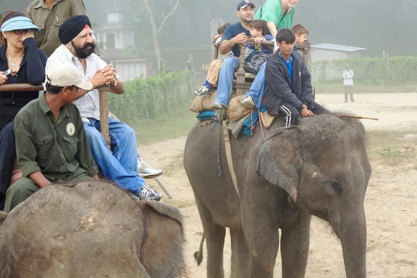 Indian elephants-tourists on safari. Chitwan-Nepal. 0840 — Stock Photo, Image