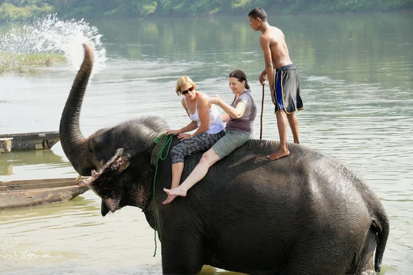 Elefante no banho. Chitwan-Nepal. 0847 — Fotografia de Stock