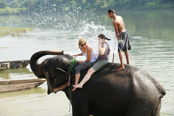 Gajah di kamar mandi. Chitwan-Nepal. 0848 — Stok Foto