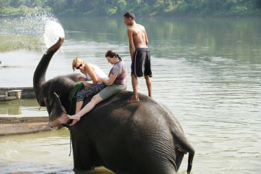 Banyo, fil. Chitwan-Nepal. 0850