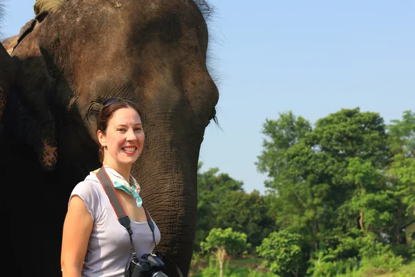 Indian elephants-tourist after safari. Chitwan-Nepal. 0884 — Stock Photo, Image