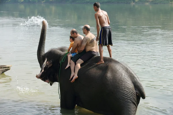 Elephant at bath. Chitwan-Nepal. 0869 — Stock Photo, Image