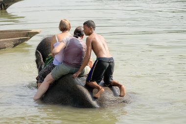 Banyo, fil. Chitwan-Nepal. 0855