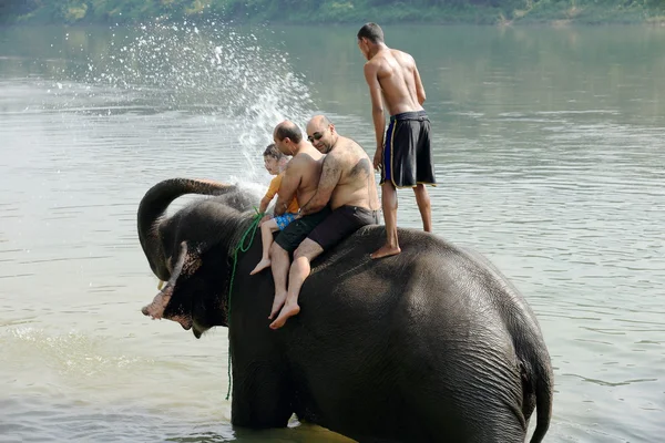 Elephant at bath. Chitwan-Nepal. 0870 — Stock Photo, Image