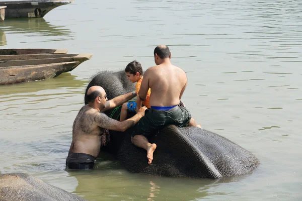 Elefant la baie. Chitwan-Nepal. 0865 — Fotografie, imagine de stoc