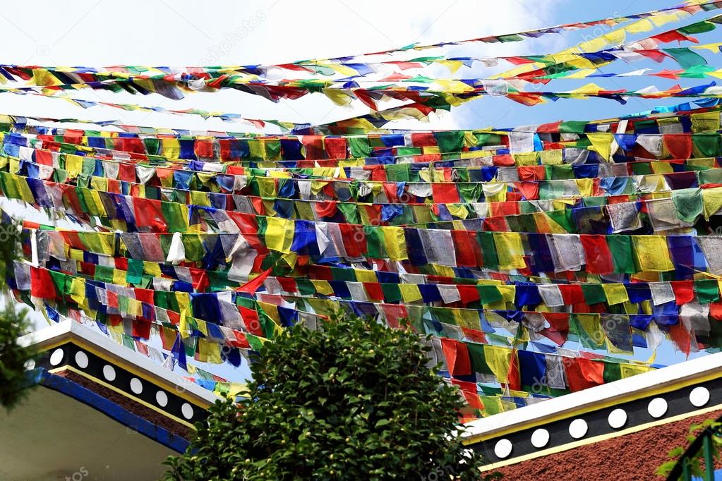 Buddhist prayer flags. Thrangu Tashi Yangtse monastery-Nepal. 0990