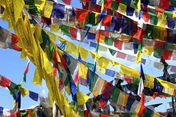 Budist dua bayrakları. Thrangu Tashi Yangtse Manastırı-Nepal. 0992 — Stok fotoğraf