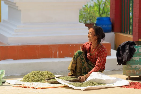 Kobieta w pracy. Rinpocze Tashi Yangtse klasztor Nepal. 0998 — Zdjęcie stockowe