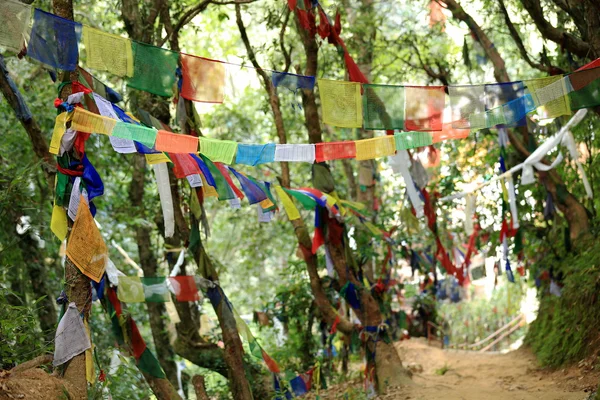 Bandeiras de oração budistas. Thrangu Tashi Yangtse mosteiro-Nepal. 1005 — Fotografia de Stock