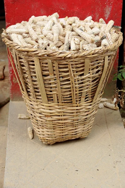 Corncobs in wicker basket. Thrangu Tashi Yangtse monastery-Namo Buddha-Nepal. 1021 — Stock Photo, Image