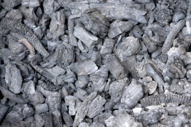 Siyah karartan. Namo Buda-Nepal. 1022