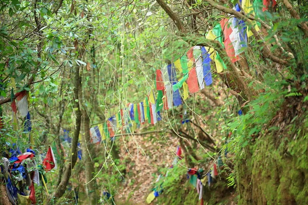 Bandeiras de oração budistas. Thrangu Tashi Yangtse mosteiro-Nepal. 1004 — Fotografia de Stock