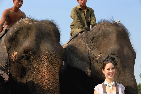 Indian elephant-tourist after safari. Chitwan-Nepal. 0889 — Stock Photo, Image