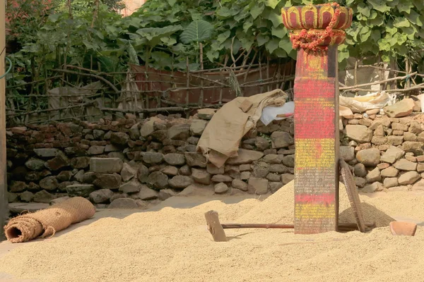 Raw rice at sundry around stone pillar. Dhulikhel-Nepal. 1056 — Stock Photo, Image