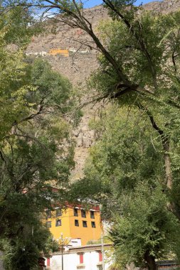 Sera Utse-hermitage among tree branches. Sera monastery-Tibet. 1297 clipart