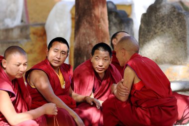 Monks debating in the Sera monastery-Tibet. 1282 clipart