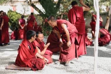 Monks debating in Sera monastery-Tibet. 1284 clipart