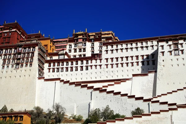 The whitewashed Potala palace. Lhasa-Tibet. 1366 — Stock Photo, Image