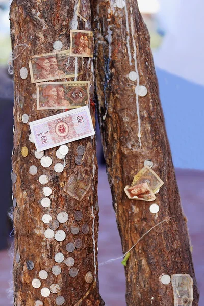 Ağaç gövdeleri wth para teklifleri. Potala Lhasa Tibet. 1401 — Stok fotoğraf