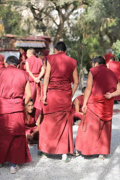 Gruppo di monaci che discutono nel monastero di Sera-Tibet. 1288 — Foto Stock