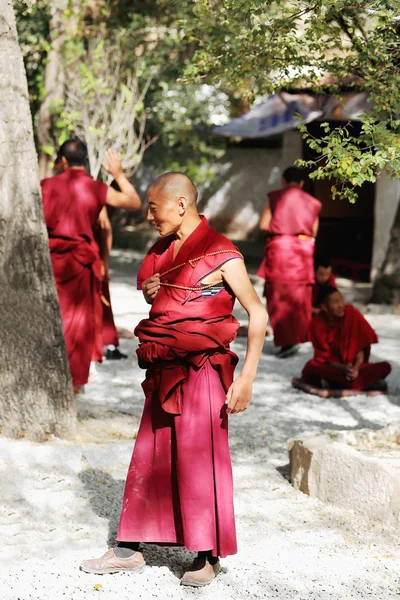 血清修道院チベットでの議論で修道士のグループです。1290 — ストック写真