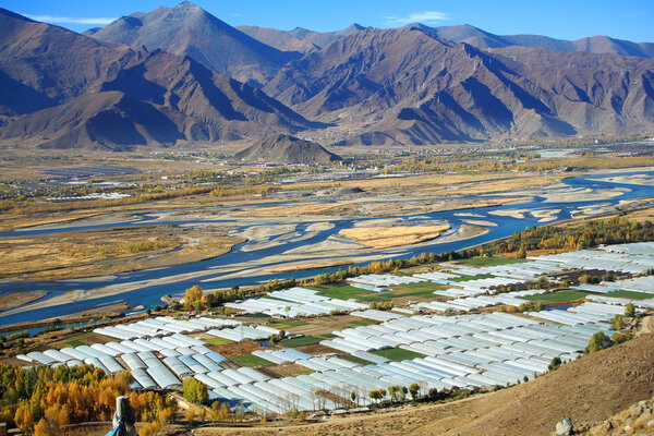 Hothouses beside Kyichu river. Lhasa pref.-Tibet. 1454