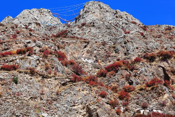 Prayer flags hanging on the mountain.  Drak Yerpa-Tibet. 1516 — Stock Photo, Image