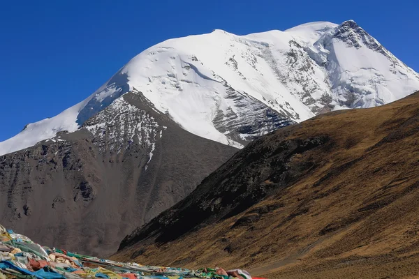 Karo-la dağ geçidi görülen mt.kalurong. Tibet. 1560 — Stok fotoğraf