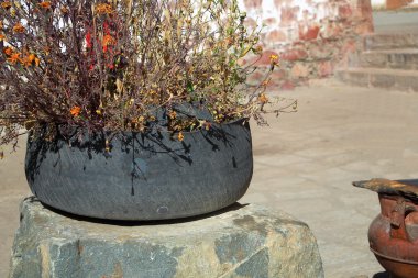 Eski lastik bir plantpot olarak. Pelkhor Chode Manastırı. Gyantse-Tibet. 1645