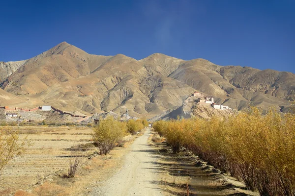 Pelkhor Chode-monasterio y Dzong-fortaleza. Gyantse-Tibet. 1651 — Foto de Stock