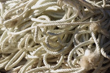 Beyaz plastik ipler. Shigatse-Tibet. 1666