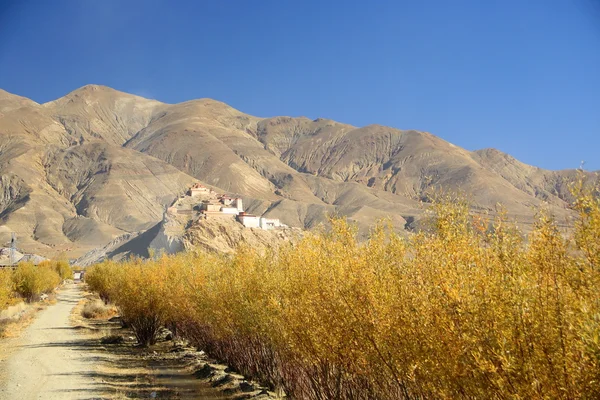 Dzong-Festung von weitem gesehen. Gyantse-Tibet. 1652 — Stockfoto