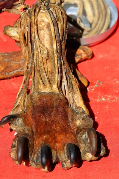 Dry tiger claw-market around Tashilunpo monastery. Shigatse-Tibet. 1744 — Stock Photo, Image