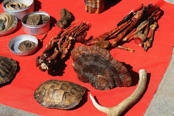 Gingseng-antler-turtle shell. Market around Tashilunpo monastery-Shigatse-Tibet. 1745 — Stock Photo, Image