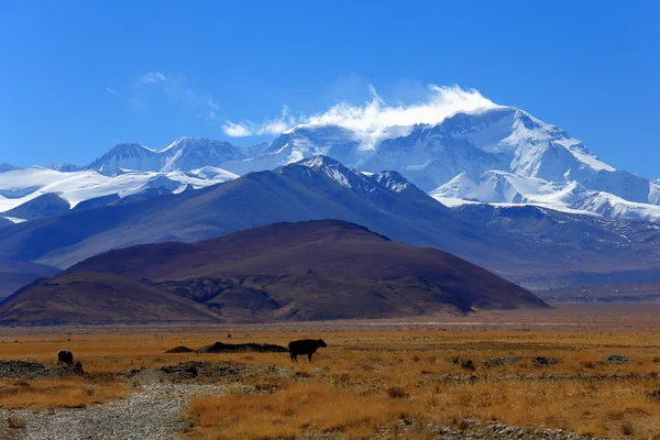 Cho Oyu y varios picos del Himalaya. Tíbet. 1927 — Foto de Stock