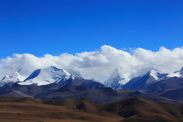 Lapche veya Labuche Kang massif-Tibet. 1959 — Stok fotoğraf