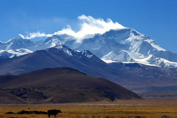 Cho Oyu ve birkaç Himalaya zirveleri. Tibet. 1933 — Stok fotoğraf