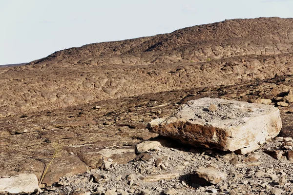 Landscape with stone-SE.section of Danakil desert. Afar region-Ethiopia. 0134 — Stock Photo, Image