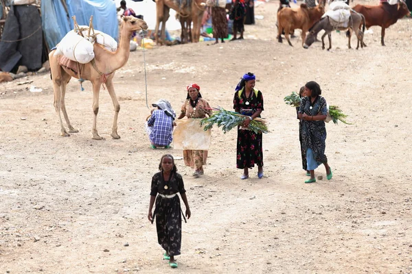 Mulheres locais carregando mercado khat-domingo. Senbete-Etiópia. 0061 — Fotografia de Stock