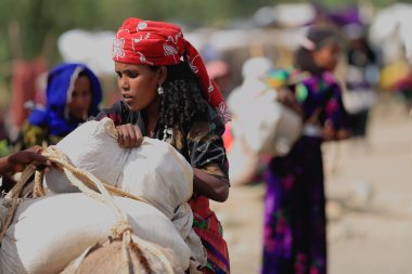 Kadın bir dromedary üzerinde çuval yükleme. Senbete-Etiyopya. 0067