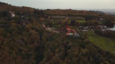 Sonbahar şehir ormanlarının insansız hava aracı görüntüleri, sıcak güneşli hava. Yüksek binaların ve evlerin yakınındaki patk. Güzel doğa ağaçları, sarı huş ağaçları, gün batımının yumuşak güneş ışınlarındaki köknar ağaçları.