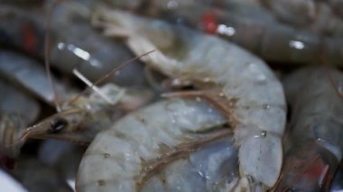 Kral karidesler kızartma tavasına kapanır.