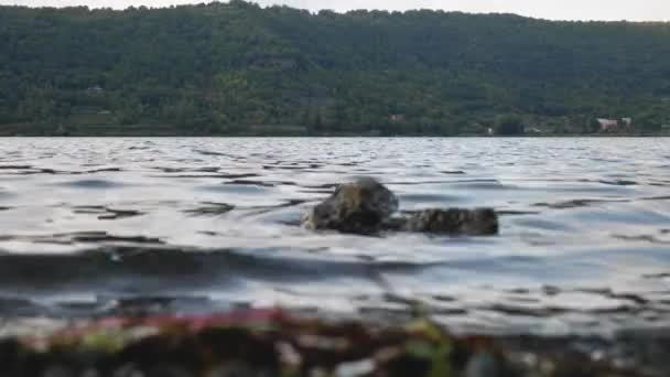 Variabelt fokus på vågen, en sten i sjön — Stockvideo