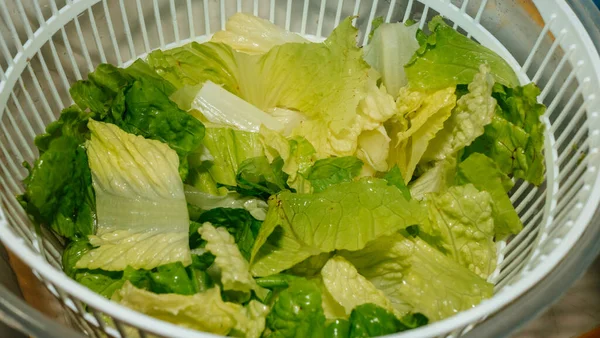 chopped salad in a plastic and plate, close up