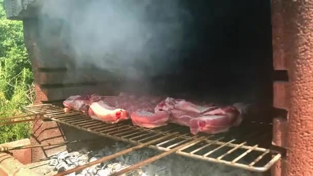 Costillas en la parrilla. costillas y salchichas a la parrilla, un hombre gira la carne a la parrilla — Vídeos de Stock