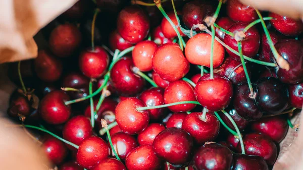 Close up of a bunch of ripe cherries with stems. A large collection of fresh red cherries. Ripe cherries background.