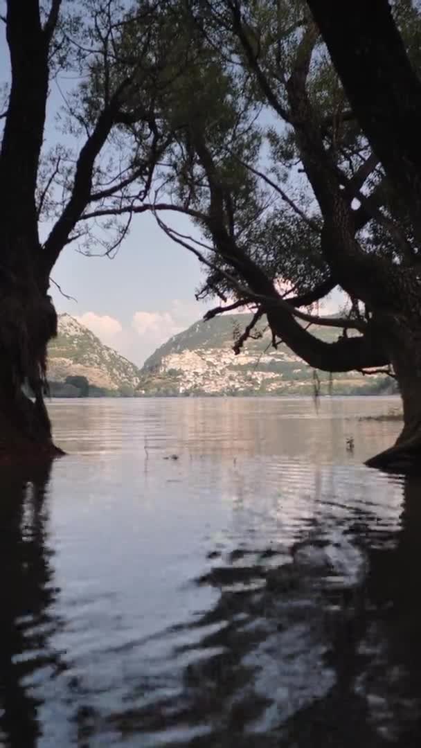 Výhled na jezero a město Barrea. vertikální video — Stock video