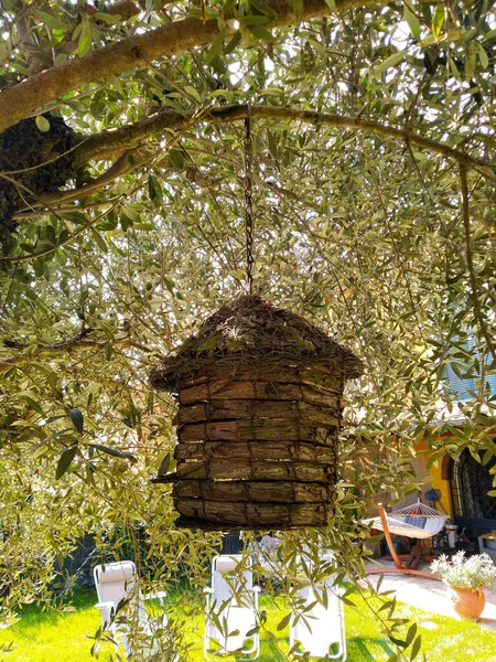 Dřevěná ptačí budka na stromě v zahradě — Stock fotografie