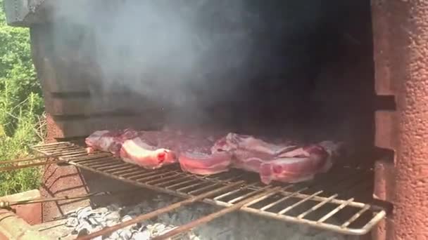 Grillribbe og pølser. stekt grillet kjøtt til BBQ på ferieferier i hagen. Mann som lager mat – stockvideo
