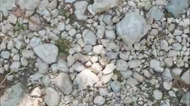 dur hareket çeşitliliği taşları, arkaplanı kapat